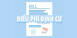 Biểu phí dịch vụ visa Anh định cư